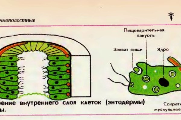 Кракен маркет зеркало